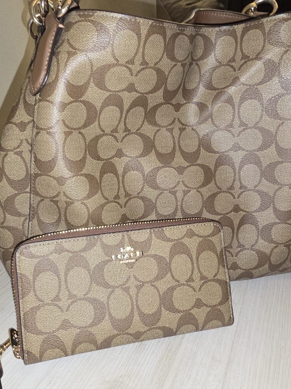 COACH Signature Canvas Tote and Wallet Set in Brown